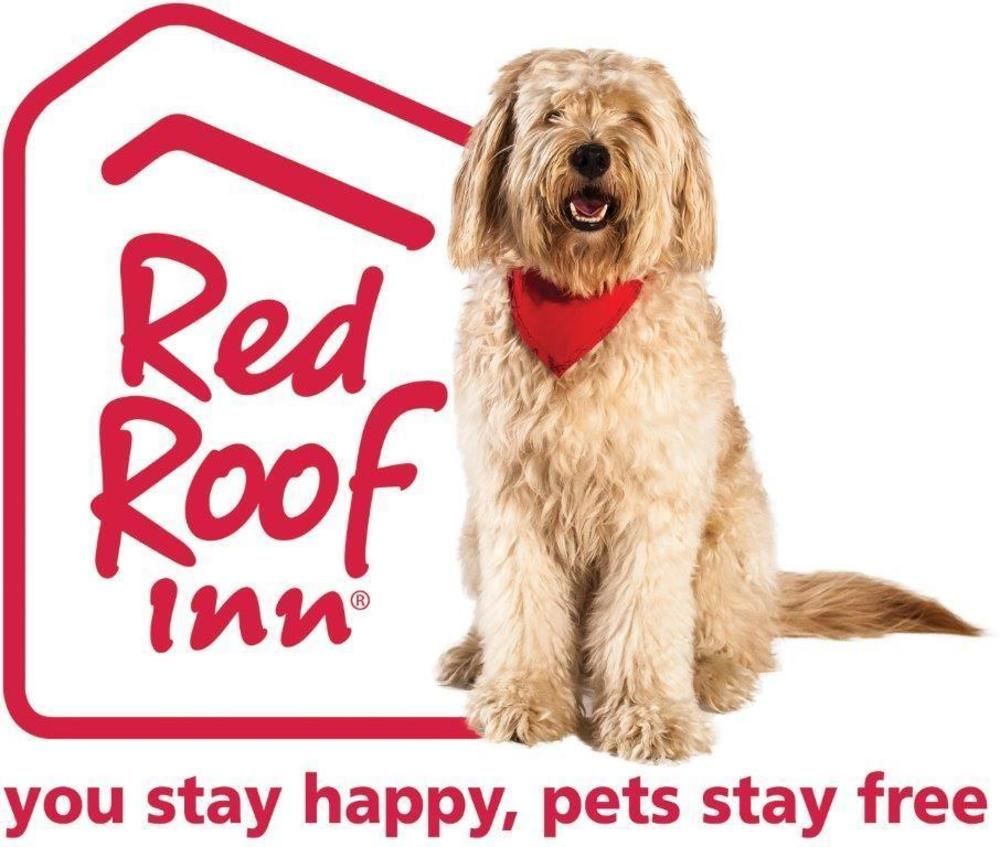 Red Roof Inn Plus+ El Paso East Экстерьер фото